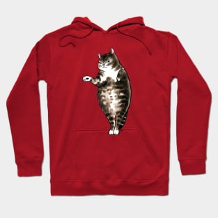 Cat dot dot belly Hoodie